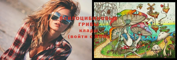 тгк Михайловск
