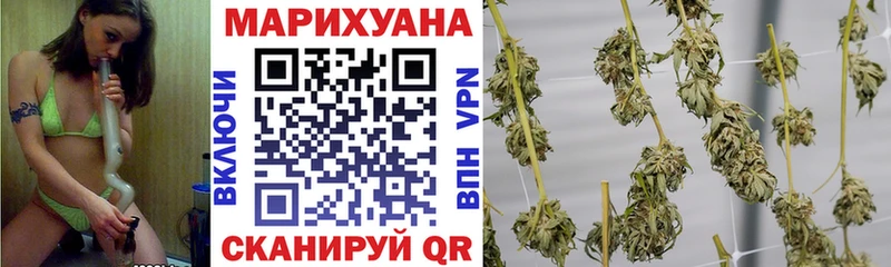 Бошки Шишки OG Kush  Суджа 